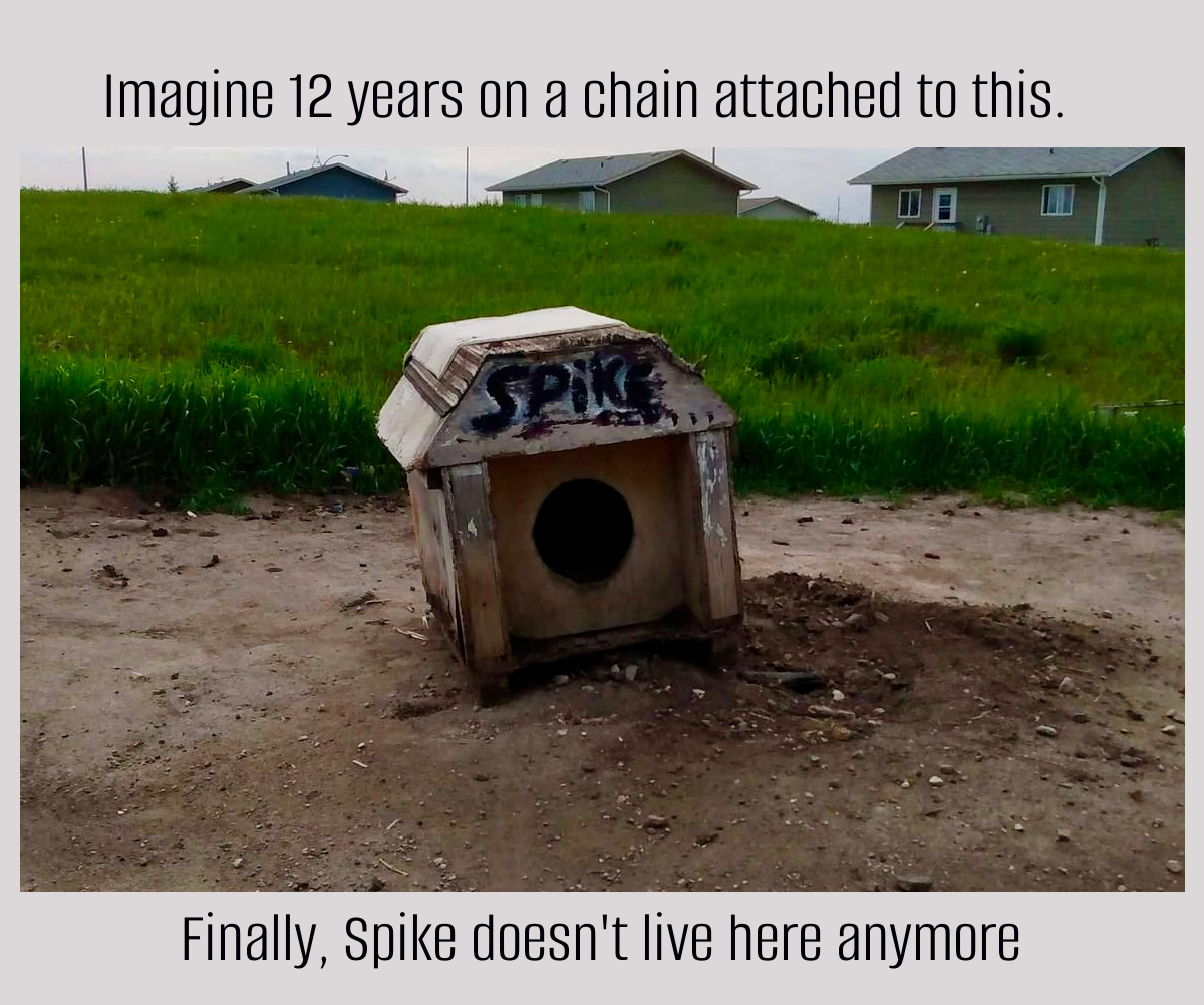 Chained to a dog 'house'