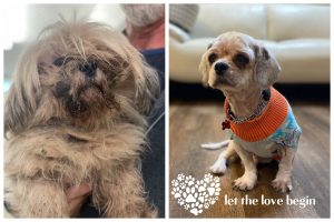 What a difference love makes